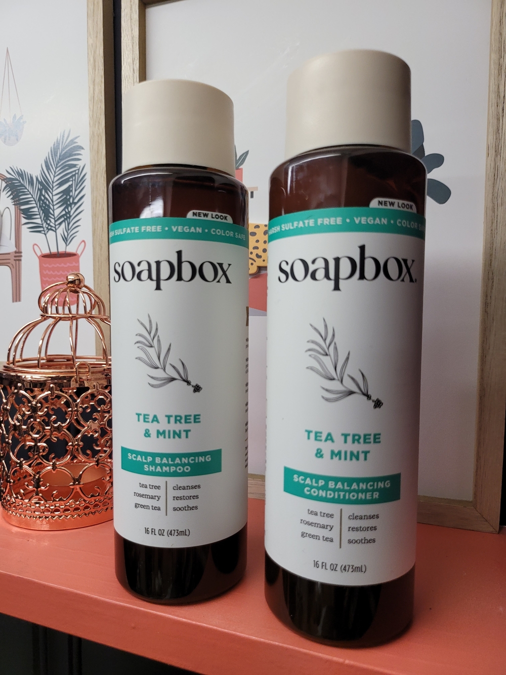 Soapbox Tea Tree & Mint Scalp Balancing Shampoo & Conditioner Set